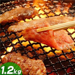 ���������I�I�@���������ߏē��Z�b�g