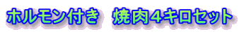 �z�������t���@�ē��S�L���Z�b�g